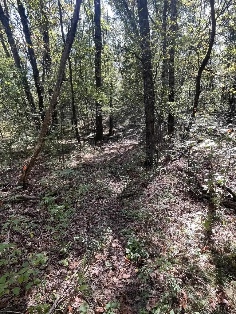 6.63 Acres 4TH AVENUE, Coloma, WI 54930 - Image #3