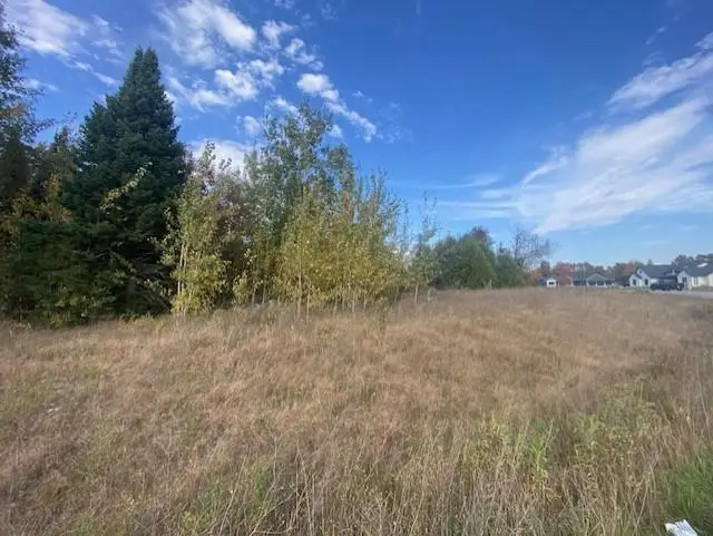 860 TORREY PINES WAY #Lot 10, Plover, WI 54467 - Image #2