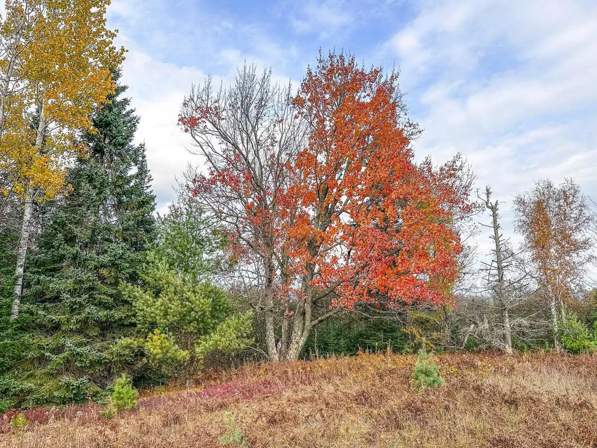 1.62 A Darlaks Bay Lane, Phillips, WI 54555 - #1