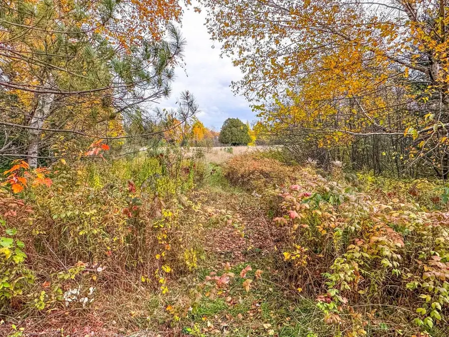 1.62 A Darlaks Bay Lane, Phillips, WI 54555 - #3