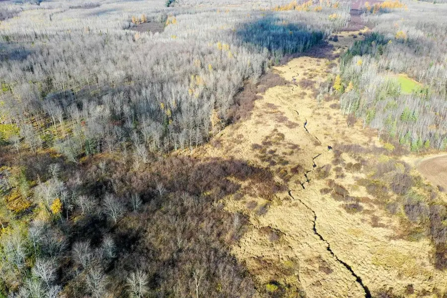 +/-21.5 Acres COUNTY ROAD M, Rib Lake, WI 54470 - Image #2