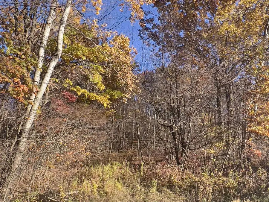40 acre TRYBA ROAD, Hatley, WI 54440 - Image #2