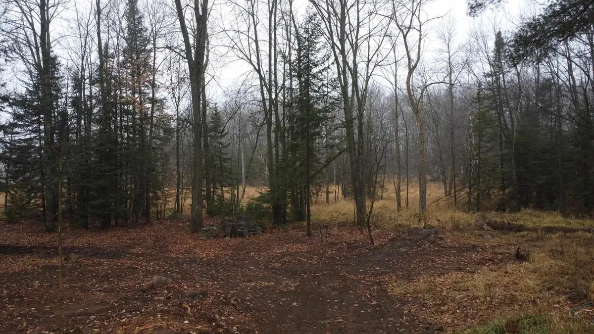 N10595 STATE HIGHWAY 45, Birnamwood, WI 54414 - Image #1