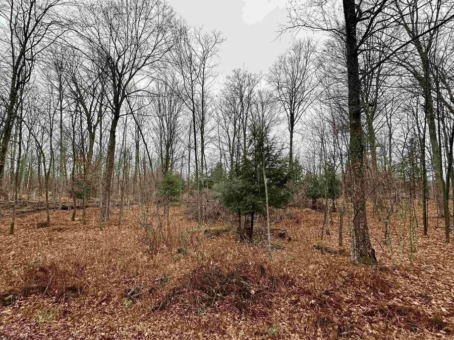 Lot 61 CHIP N DALE DRIVE, Pickerel, WI 54465 - #2