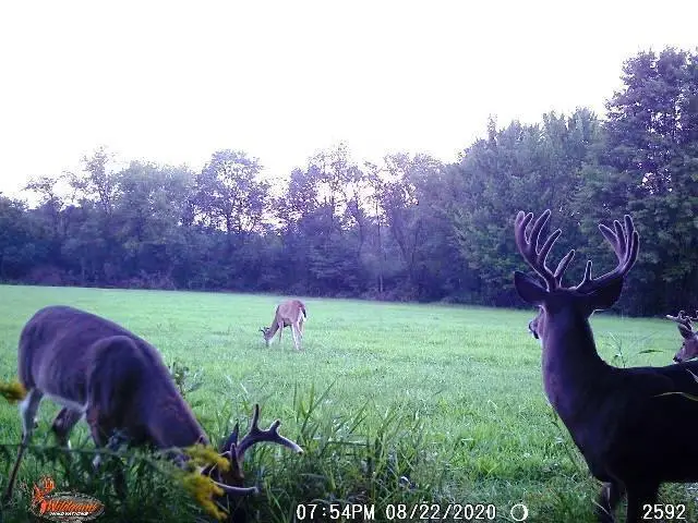 CHICKADEE ROAD, Loyal, WI 54446 - Image #2