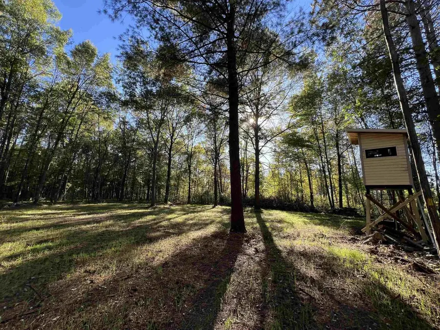 63 Acres BERANEK ROAD, Kronenwetter, WI 54455 - Image #2