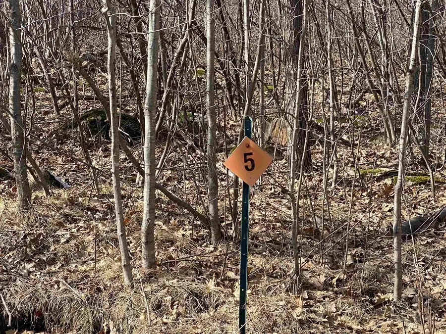 Lot 5 ACORN RIDGE ROAD, Mosinee, WI 54455 - Image #3