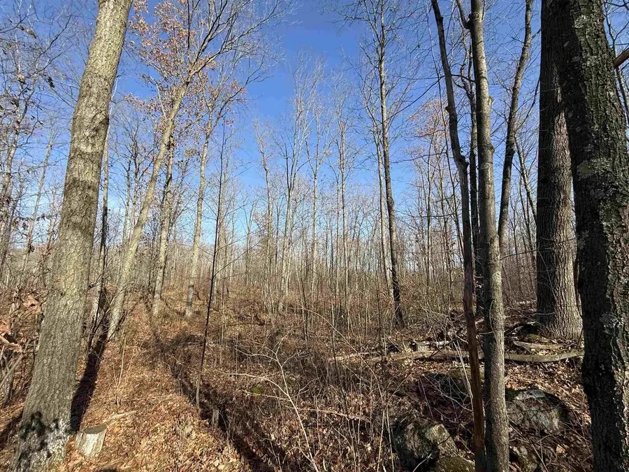 Lot 1 BIRCH DRIVE, Mosinee, WI 54455 - Image #2
