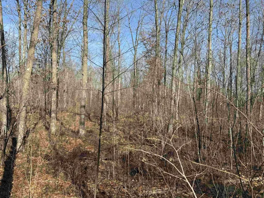 Lot 1 BIRCH DRIVE, Mosinee, WI 54455 - Image #3
