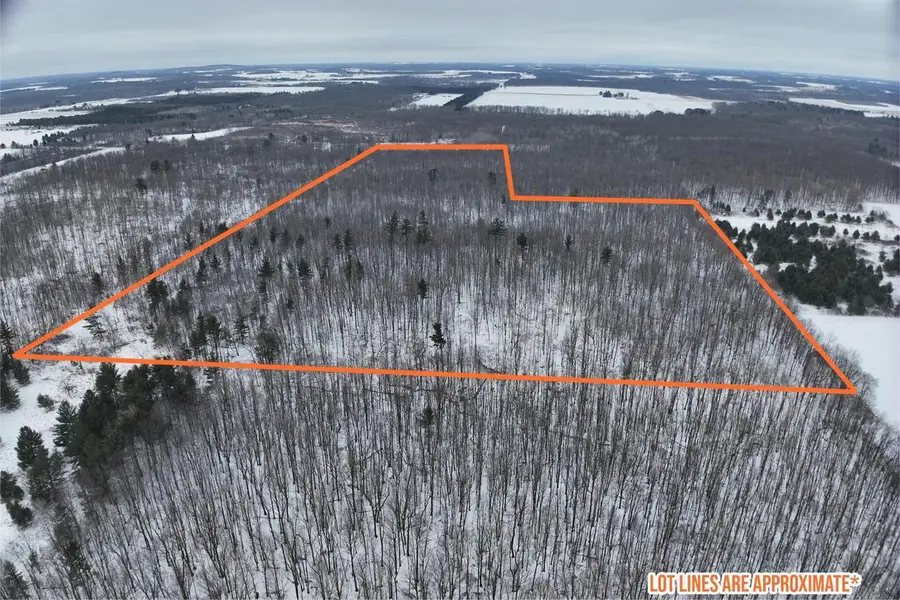 65.32 acres BOBWHITE ROAD, Neillsville, WI 54456 - Image #3