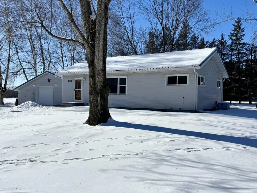 333 WESTERN AVENUE, Birnamwood, WI 54414 - Image #3