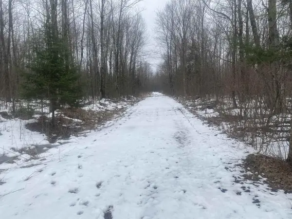 NEAR SPRING BROOK AVENUE #8429, Merrill, WI 54452