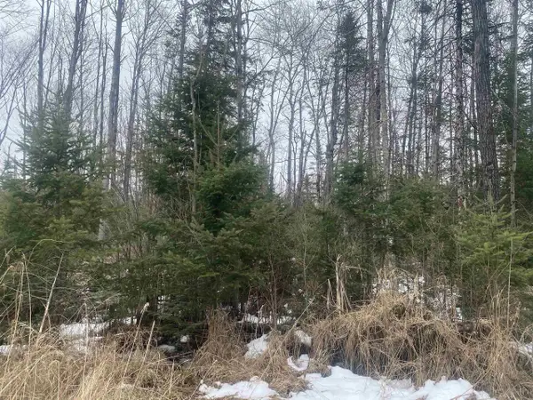 ON STATE HIGHWAY 64 #8430-2, Merrill, WI 54452