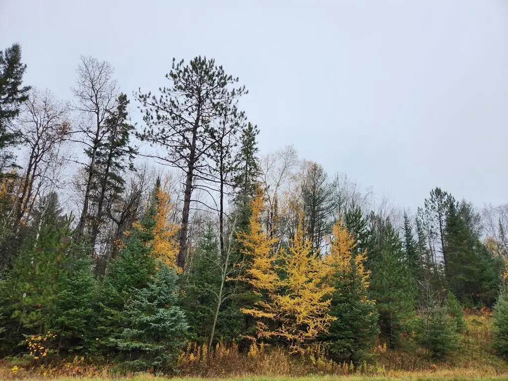 STATE HIGHWAY 86 #Prt of SW-NW, Ogema, WI 54490 - #1