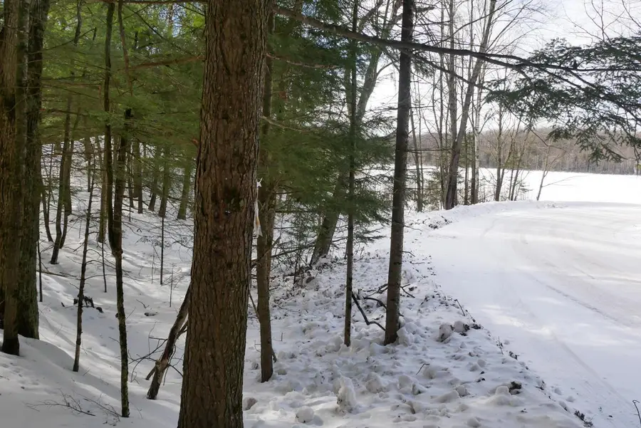 +/-.757 Acres SALEM LAKE ROAD, Medford, WI 54451 - #2