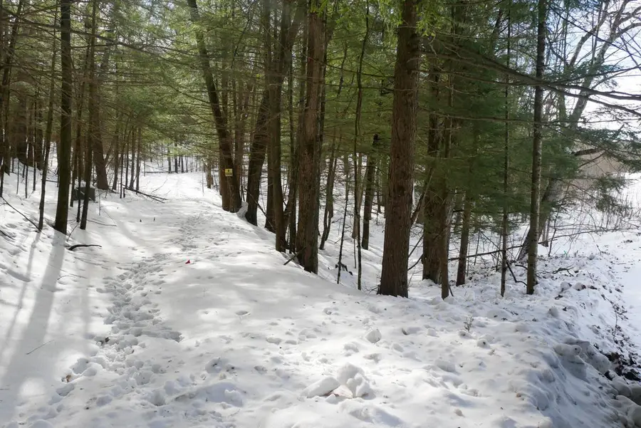 +/-.757 Acres SALEM LAKE ROAD, Medford, WI 54451 - #3