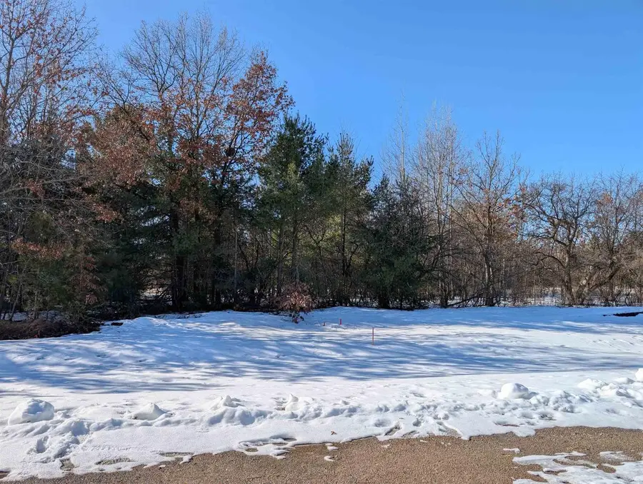 3445 RAVENSWOOD WAY #Lot 90, Plover, WI 54467 - #2