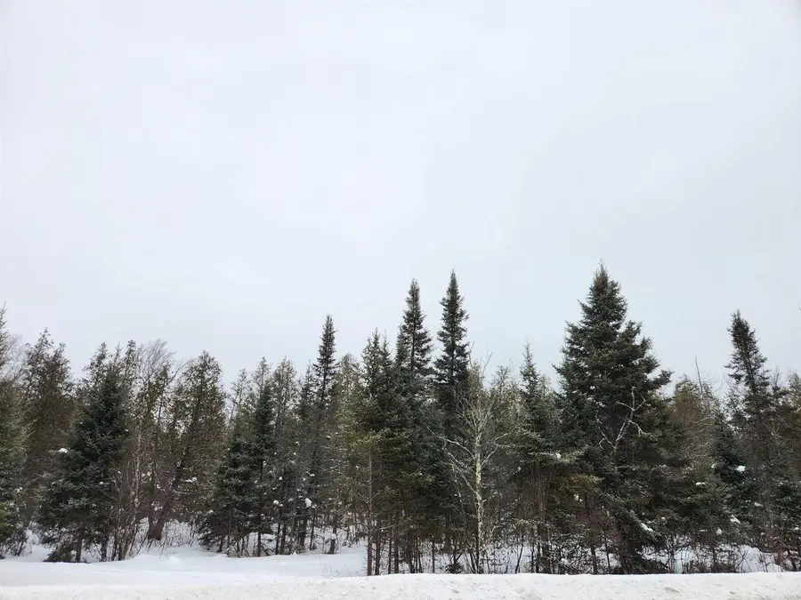 COUNTY ROAD D, Rhinelander, WI 54501 - #2