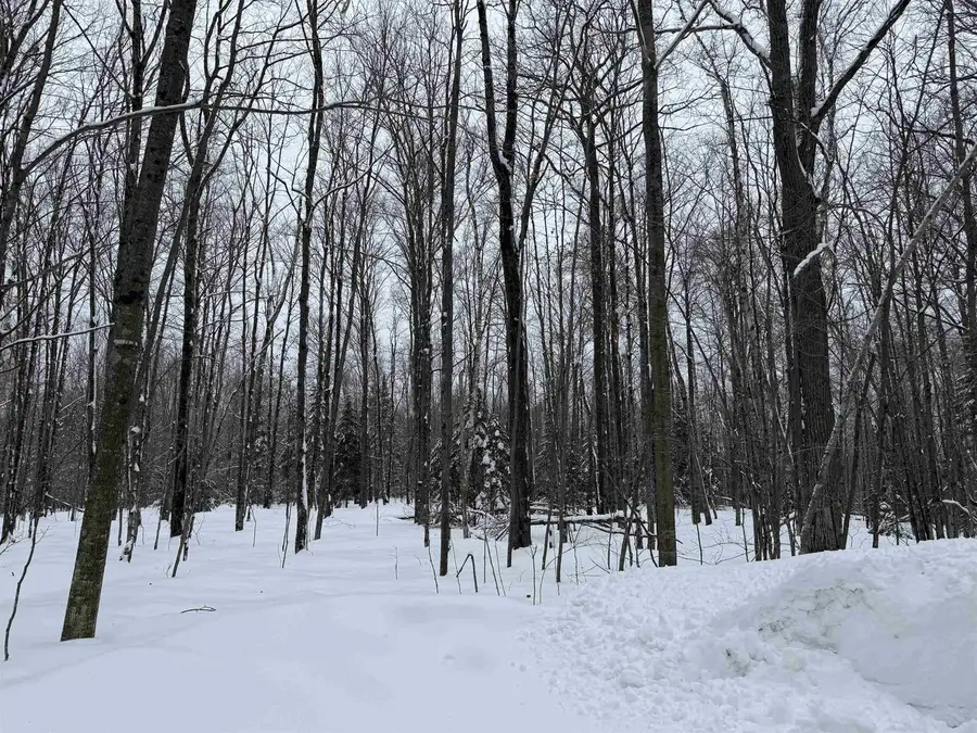 Lot #4 ALLEN ROAD, Crandon, WI 54520 - #3