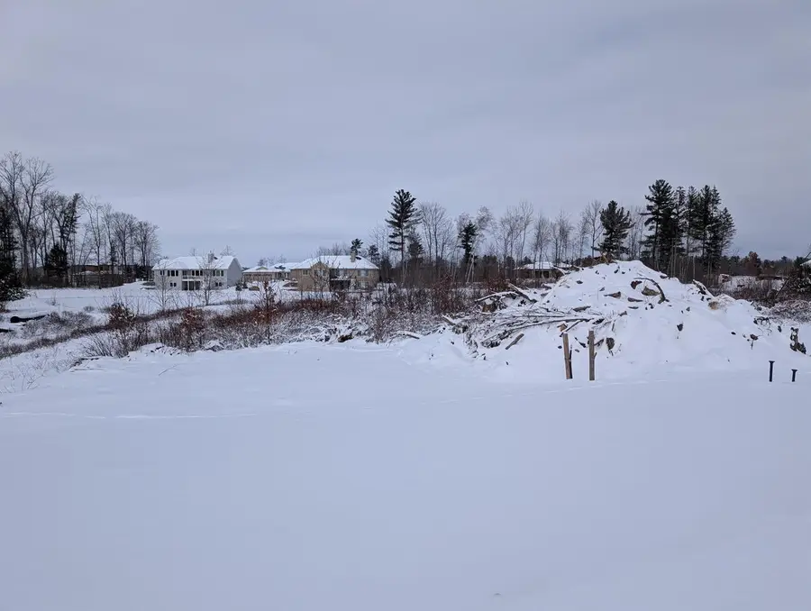 Lot 57 HERON HAVEN COURT, Biron, WI 54494 - #3