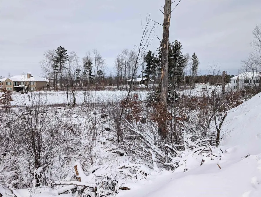 Lot 59 HERON HAVEN COURT, Biron, WI 54494 - #3