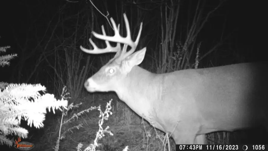 20 Acres on CLOVERLAND, Conrath, WI 54731 - #2