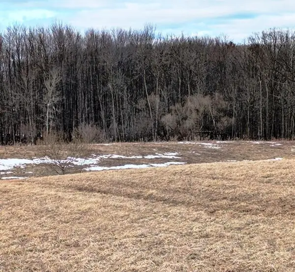 Sec 11 CROW ROAD, Willard, WI 54493