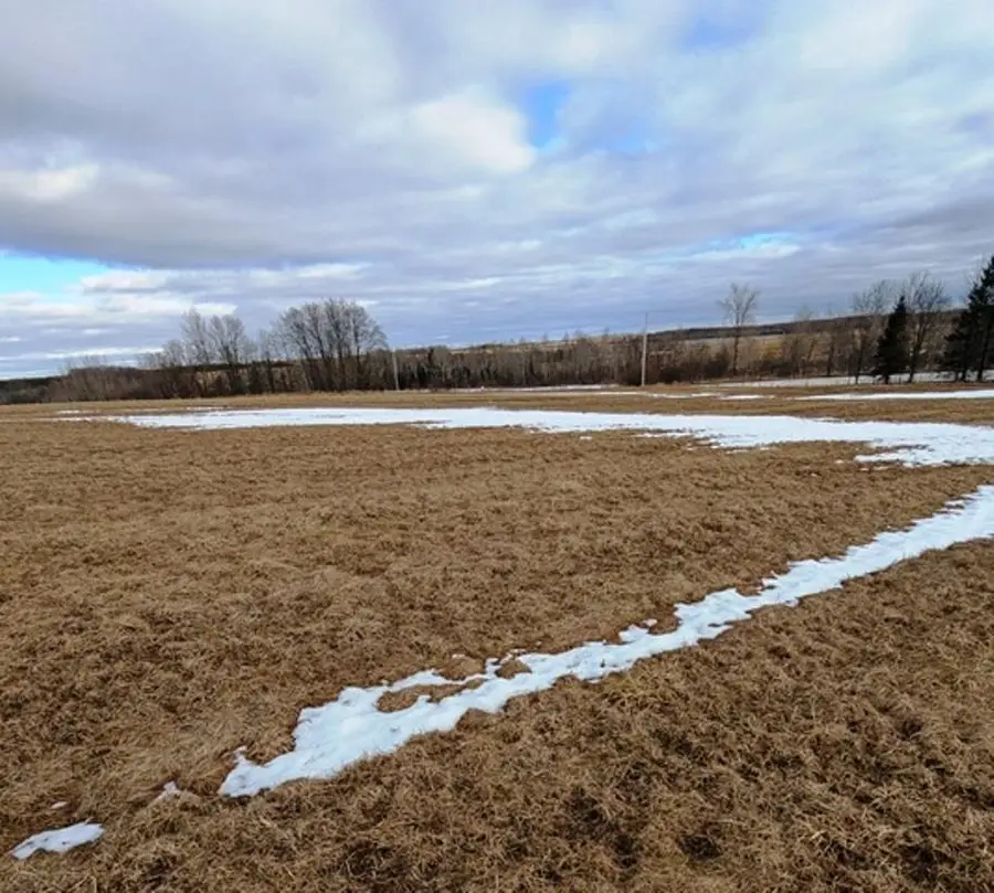 Sec 11 CROW ROAD, Willard, WI 54493 - #3