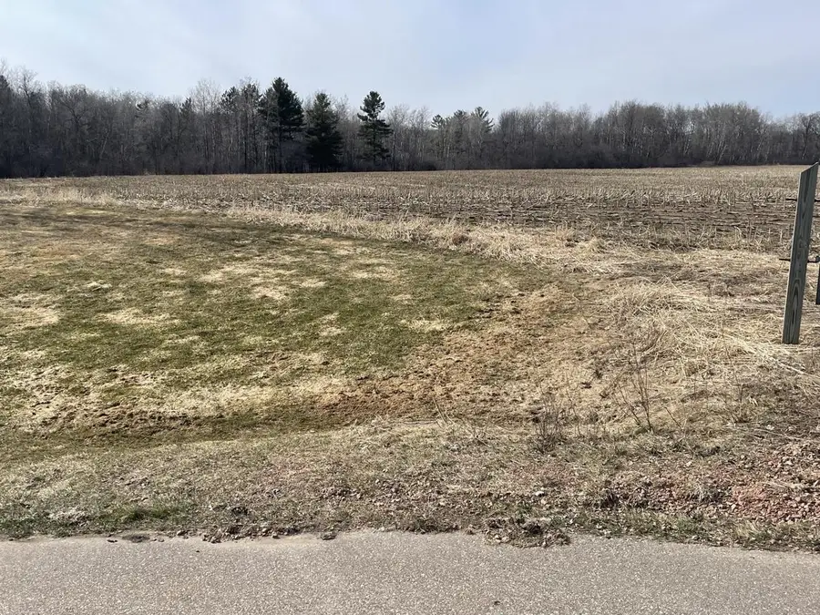 20 Acres N HUME AVENUE, Marshfield, WI 54449 - #3