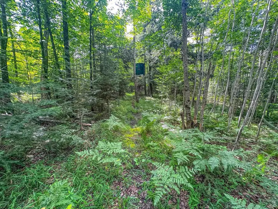 93.89A on KUNDINGER ROAD, Park Falls, WI 54552 - #3