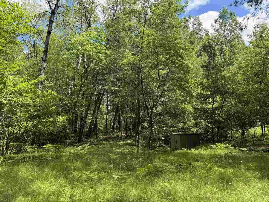 11674 SHERWOOD LANE, Woodruff, WI 54568 - #3