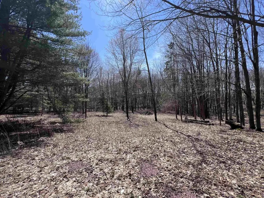 CANYON ROAD, Wausau, WI 54403 - #3