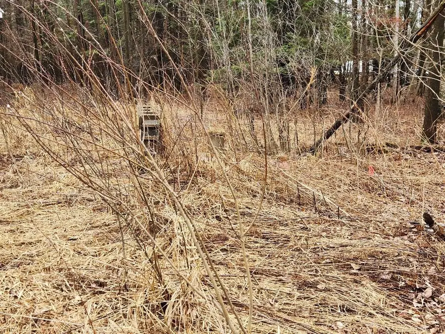 W10582 CARPENTER ROAD, Tripoli, WI 54564 - #2