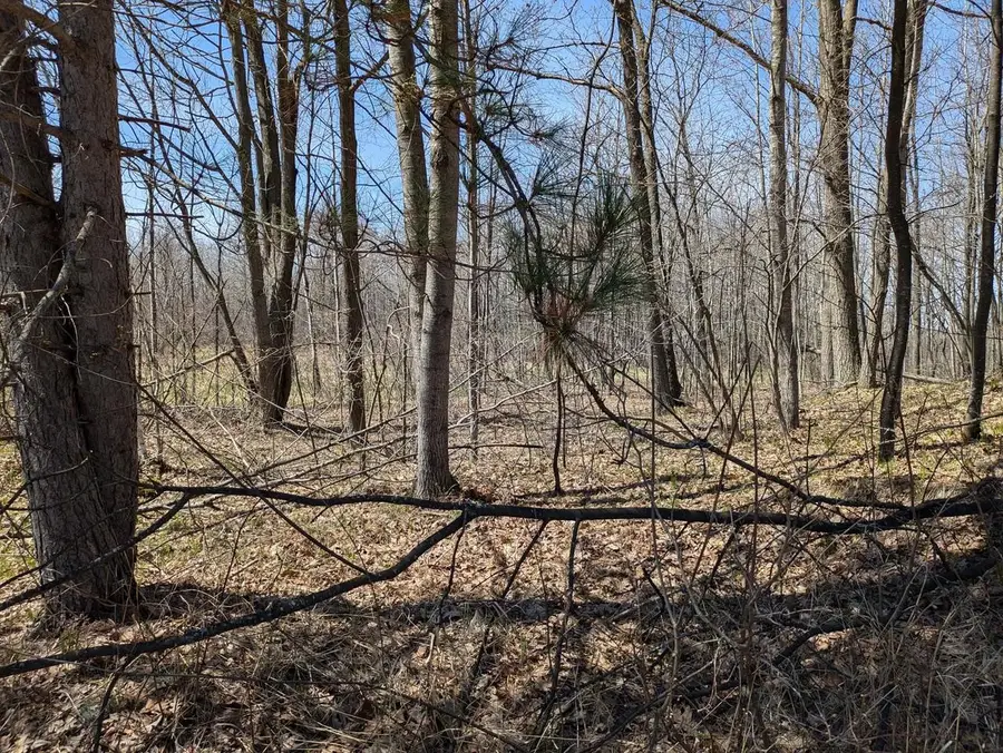 Parcel# 0400147 JOHNSON ROAD, Pittsville, WI 54466 - #2