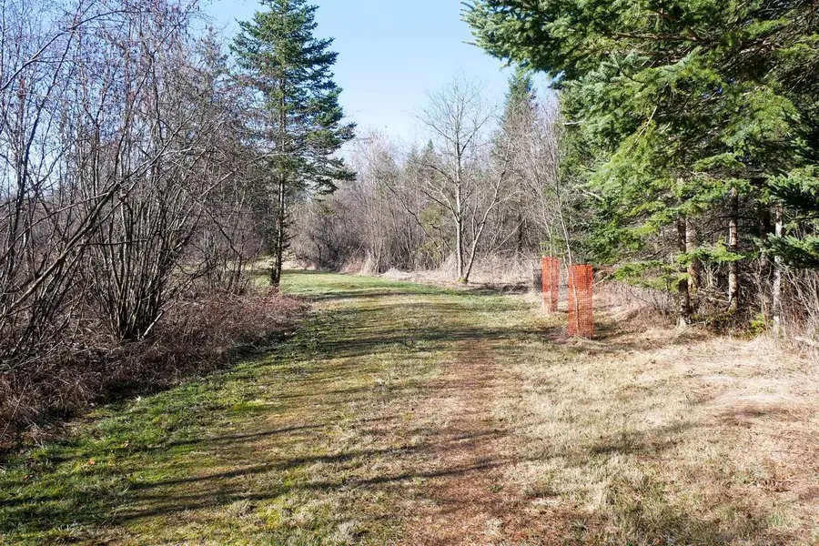 +/-41.85 Acres COUNTY ROAD M, Rib Lake, WI 54470 - #2