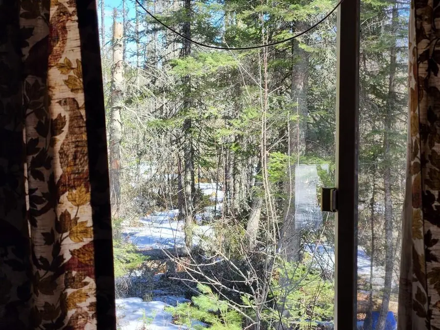 7972 CHAIN LAKE ROAD, Eagle River, WI 54521 - #2