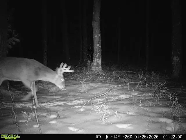 21 ACRES #Sand Hill Ln, Linwood, WI 54481 - #2