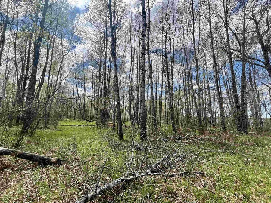 4.39 Ac On SOO LAKE ROAD, Phillips, WI 54555 - #2