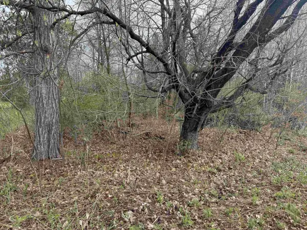 1 acre MOL MERRILL AVENUE, Wausau, WI 54401