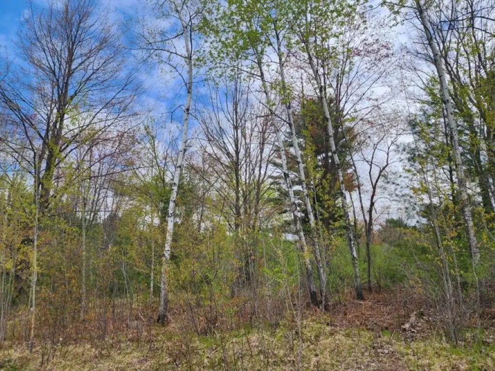 .34 Acres 36TH AVENUE #Hilltop Avenue, Wausau, WI 54401 - #1
