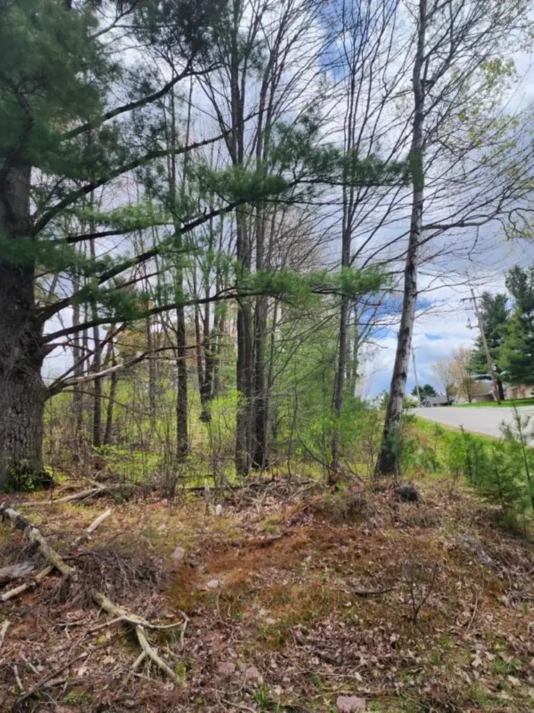 .34 Acres 36TH AVENUE #Hilltop Avenue, Wausau, WI 54401 - #3