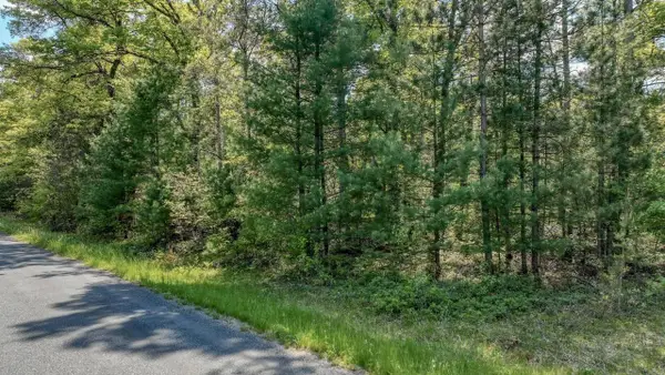 8667 LAKESIDE ROAD, Willard, WI 54493