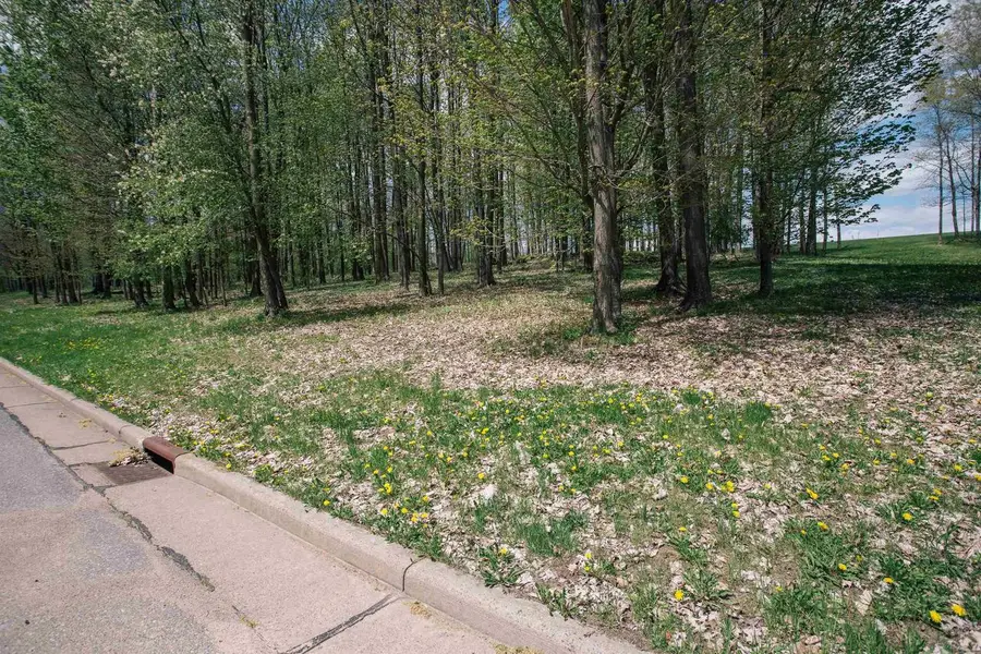 Lot 16 SAND LANE, Neillsville, WI 54456 - #3