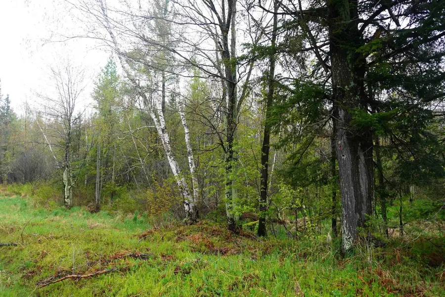 20 Acres S COUNTY ROAD X, Gleason, WI 54435 - #2