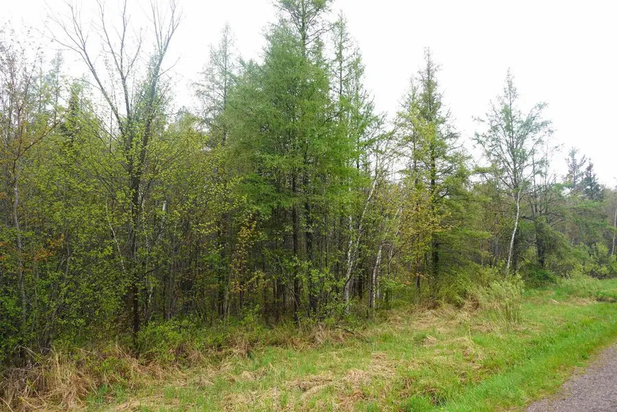 20 Acres S COUNTY ROAD X, Gleason, WI 54435 - #3