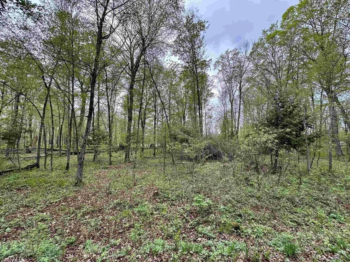 Lot 61 CHIP N DALE DRIVE, Pickerel, WI 54465 - #1