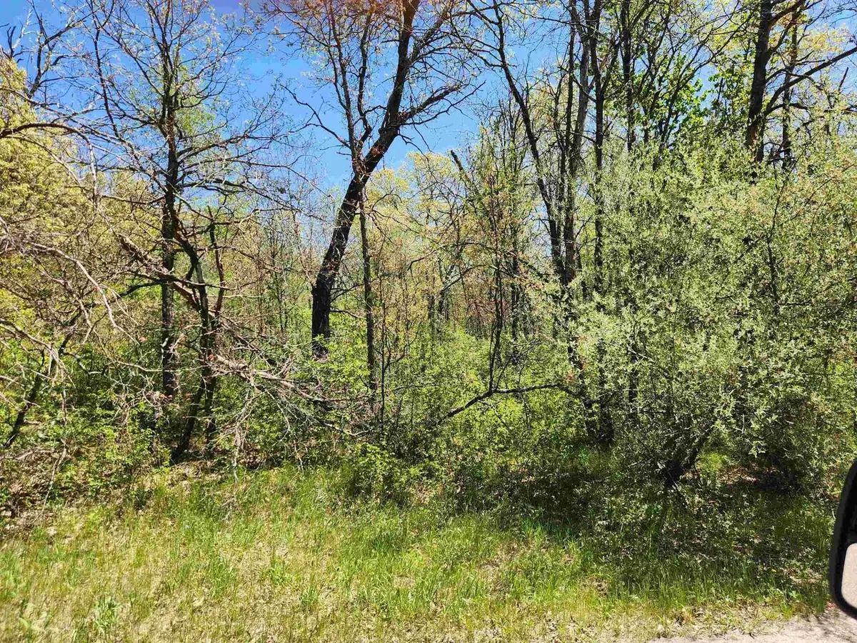 2914 OAK AVENUE, Grand Marsh, WI 53936 - #1
