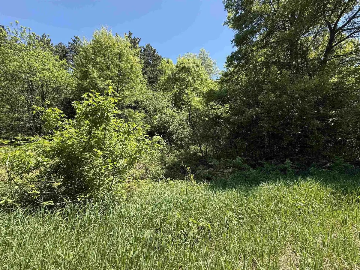 Lot 16 ARROWHEAD ROAD, Amherst Junction, WI 54407 - #1
