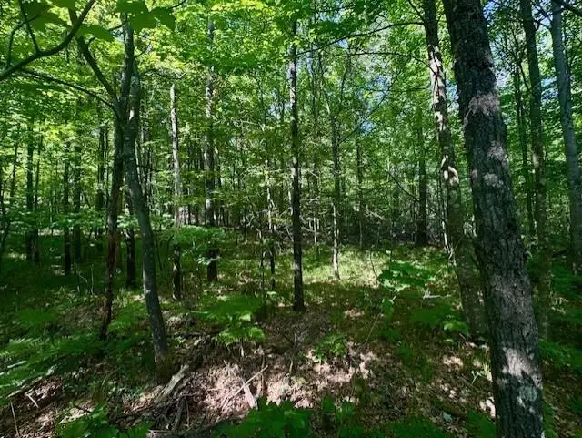 N8823 DICKERSON AVENUE, Willard, WI 54493 - #1
