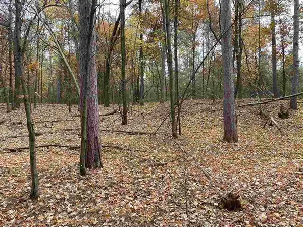 6.17 Acres TOWNLINE ROAD, Wisconsin Rapids, WI 54494